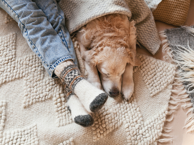Fødder med tykke sokker og en hund sover på gulvet